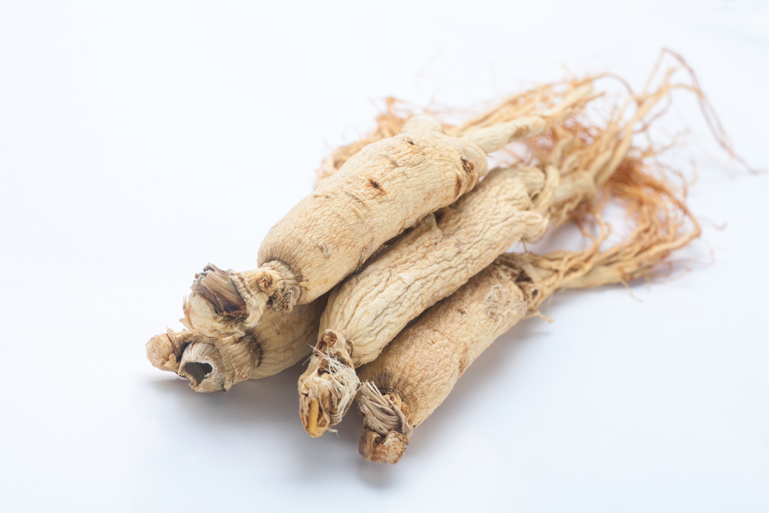 Ingredient: Ginseng root extract